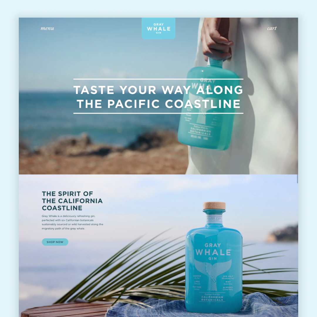 Website screenshot showing a beach hero image with the tagline "Taste Your Way Along the Pacific Coastline" and a product section featuring the teal Gray Whale Gin bottle staged with a palm frond. Website screenshot showing a beach hero image with the tagline "Taste Your Way Along the Pacific Coastline" and a product section featuring the teal Gray Whale Gin bottle staged with a palm frond.